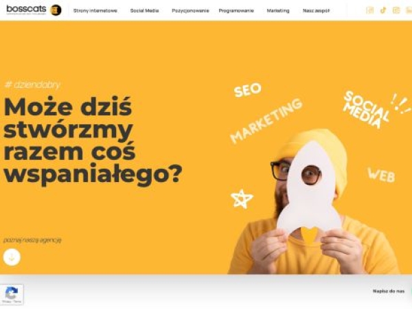 bosscats.pl