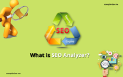 What is SEO Analyzer?