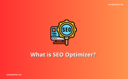 What is SEO Optimizer?